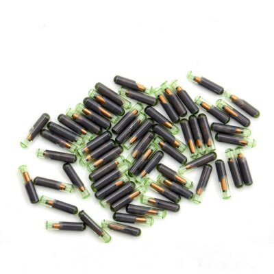 Transponder Chip ID48 T6 Vergine Per Chiavi Auto Gruppo Fiat Alfa Lancia E Volkswagen Beetle 1999-2012