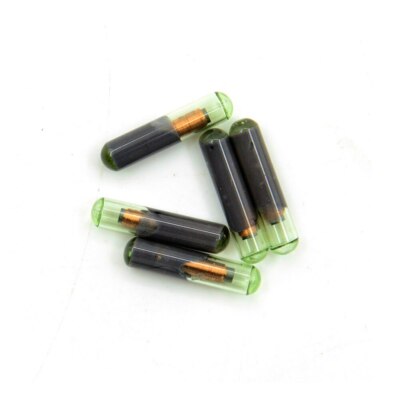 Transponder Chip ID48 T6 Vergine Per Chiavi Auto Audi Fiat Alfa Romeo Lancia E Volkswagen