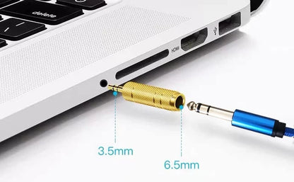 Adattatore Audio Jack 6.35mm Maschio a 3.5mm Femmina Stereo TRS Placcato Oro
